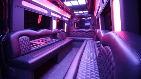 brookline sprinter limo rental rental